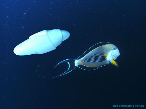 "COCOON" Wandleuchte / Wall Light Sample 16